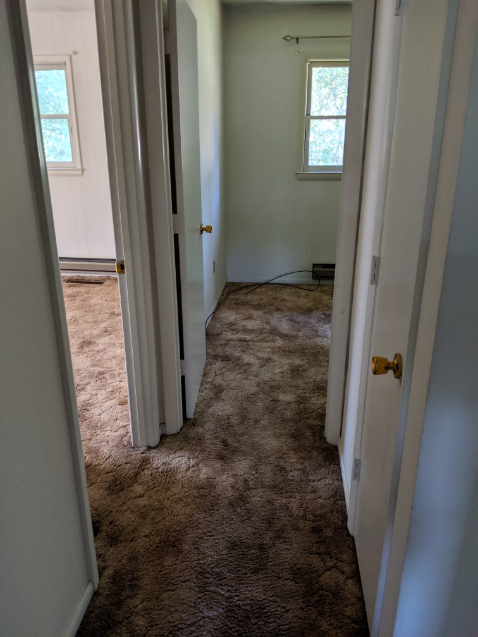 Upper Grassy - Before